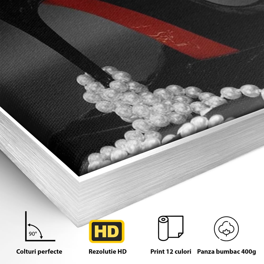 Detaliu al suprafetei: tablou canvas cu pantof si perle, in rama de aluminiu argintiu